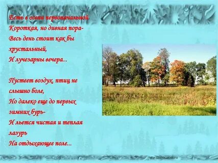 Пустеет поле птиц не слышно боле
