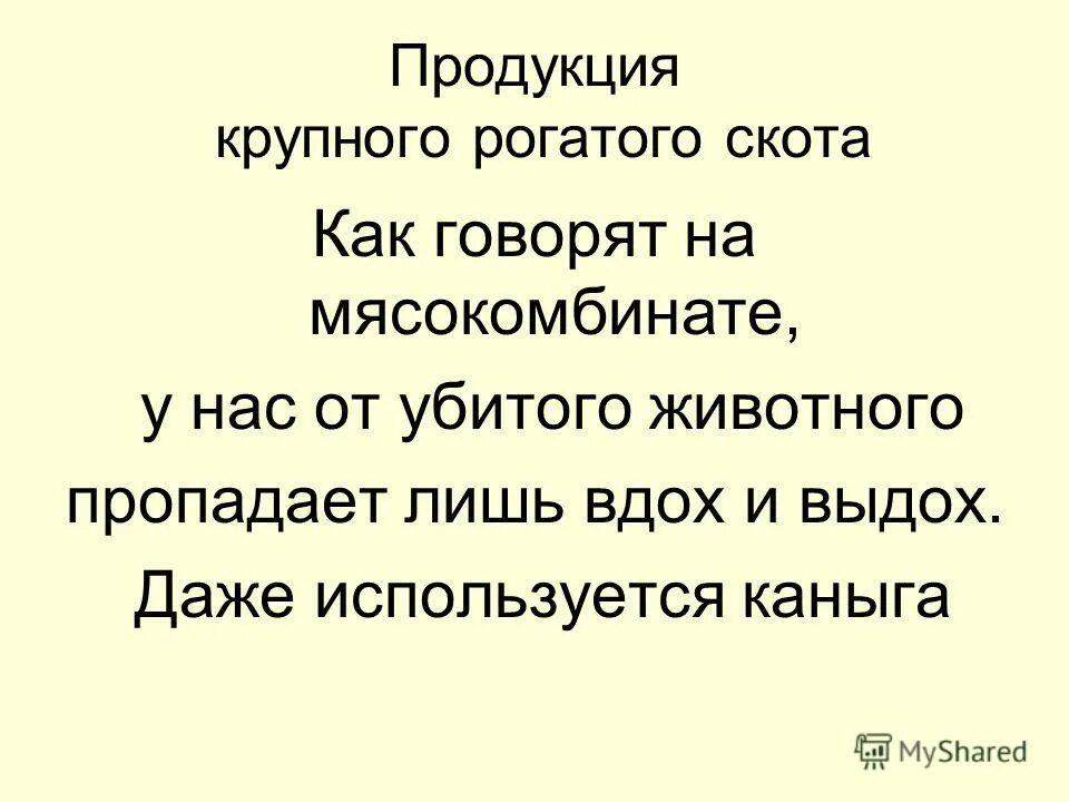 Даже использовать. Даже использовать