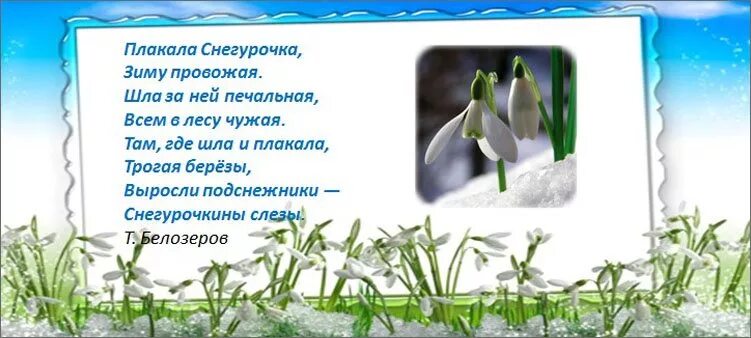 Александрова подснежник стихотворение. Стихотворение Белозерова подснежники. Подснежники плакала Снегурочка зиму провожая. Подснежники Снегурочкины слезы. Стих плакала Снегурочка зиму провожая.