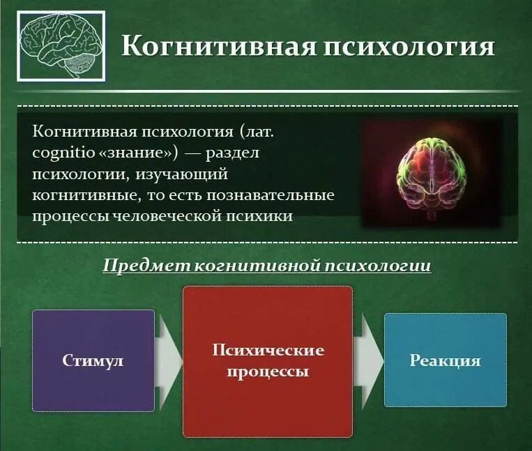 Темы когнитивных исследований