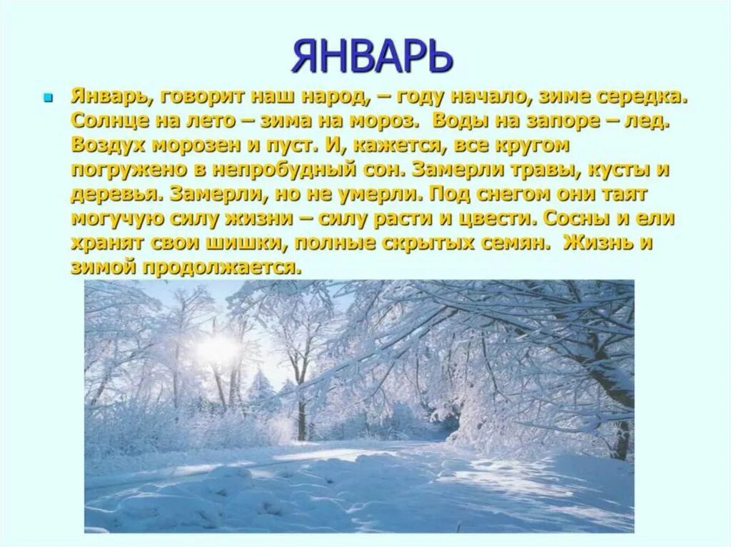 Первые в году зимний месяц. Красивое описание зимы. Презентация на тему зима январь. Описание зимы для детей. Рассказать об январе месяце.