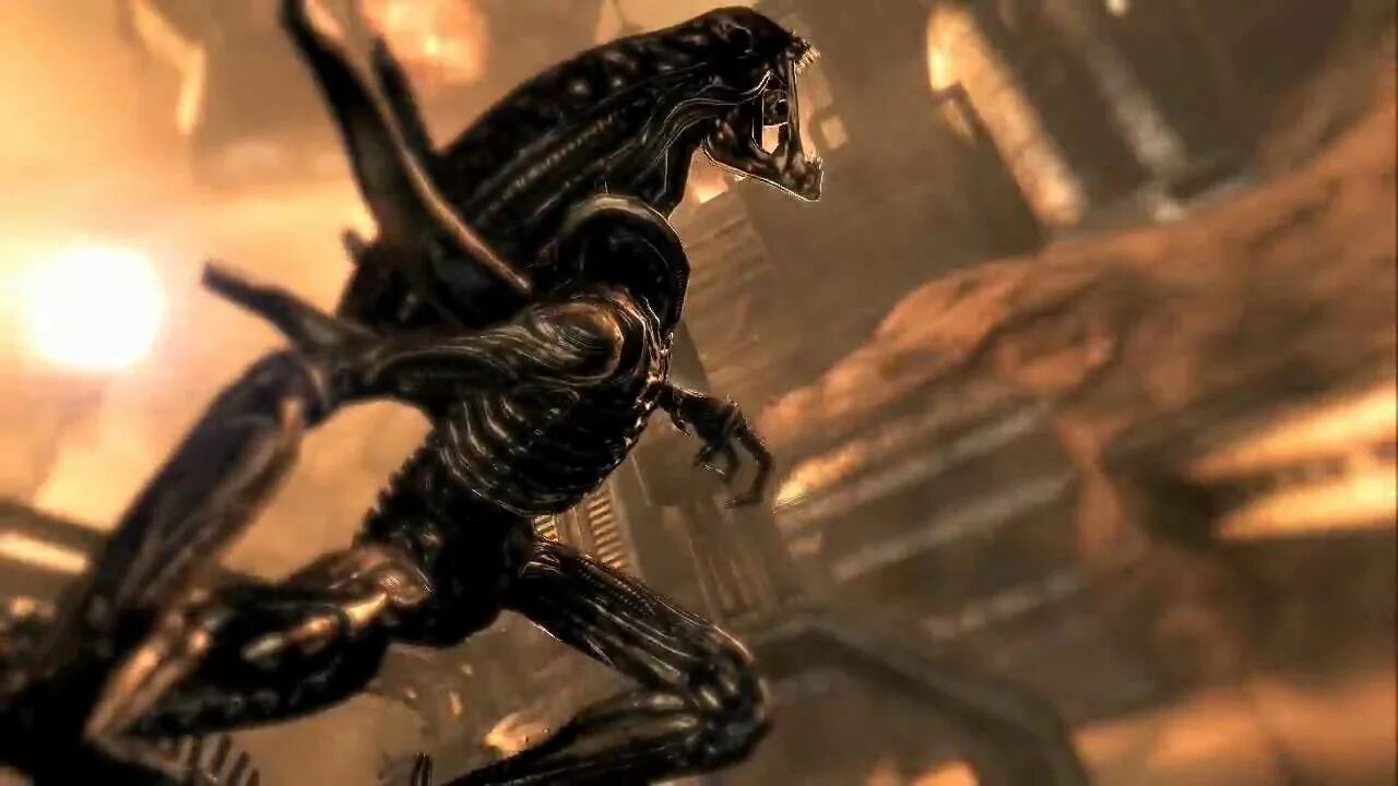 Aliens vs Predator 3. Предалиен из игры чужой против хищника 2010. Чужой против хищника 3 трейлер. Видео чужой против чужого