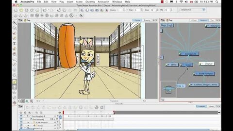 Toon boom animate