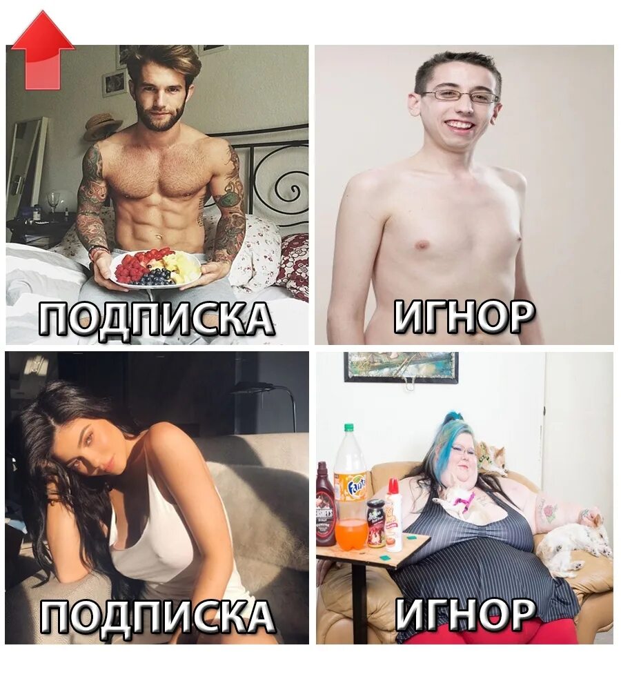 Как сделать игнор. Подписка игнор. подписка игнор картинки. игнор лайк подписка. подписка мем.