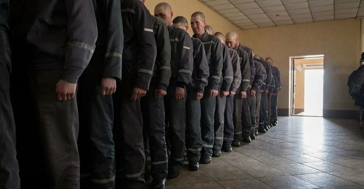 Сизо одежда