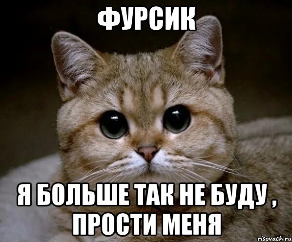 Я больше так не буду картинки. Я больше так не буду картинки