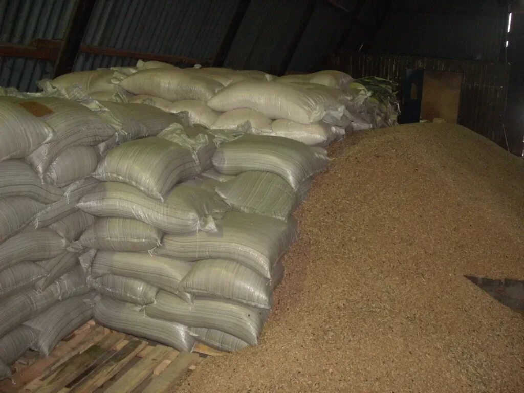 Пшеница в мешках. Комбикорм в мешках. Пшеница на складе в мешках. Зерно в мешках склад. Отруби пшеничные оптом