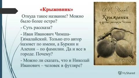 Крыжовник чех