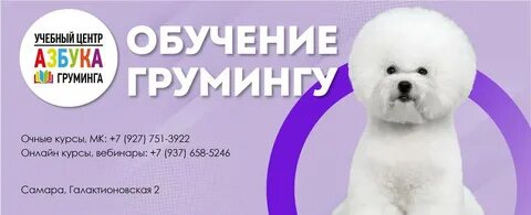 Азбука груминга
