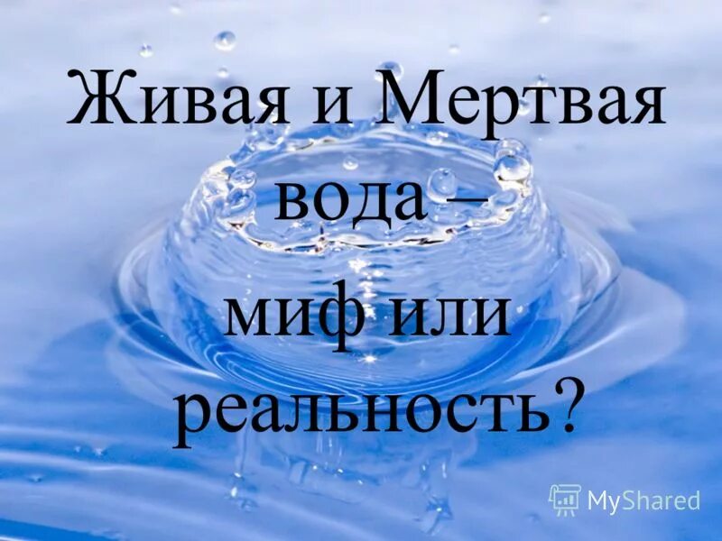 сонники живая вода
