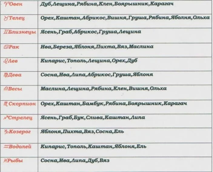 Камень и дерево по дате рождения. Деревья по гороскопу знаков. Дерево знака зодиака. Какое дерево по знаку зодиака. Деревья по зодиаку символ.