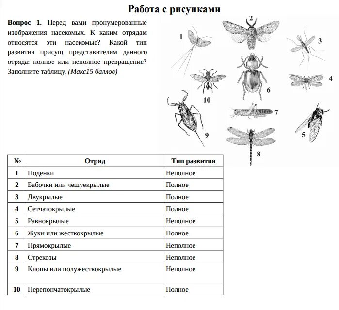 Биология тест класс насекомые. Отряды насекомых стрекозы вши жуки клопы таблица 7. биология 7 класс насекомые отряды насекомых таблица. таблица по биологии 7 класс стрекозы вши жуки клопы. развитие отрядов насекомых таблица.