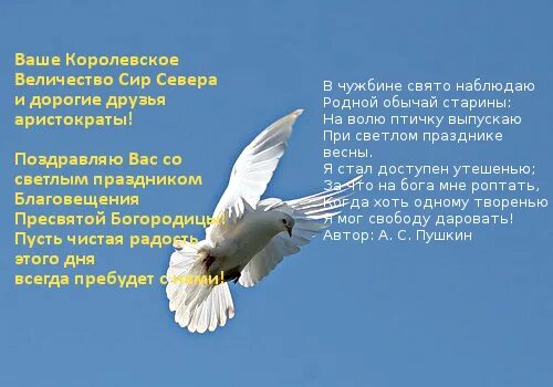 На волю птичку выпускаю при светлом празднике. На волю птичку выпускаю при Светлом празднике весны. На волю птичку выпускаю при Светлом празднике весны стих. Стихотворение в чужбине Свято наблюдаю. В чужбине Свято наблюдаю родной.