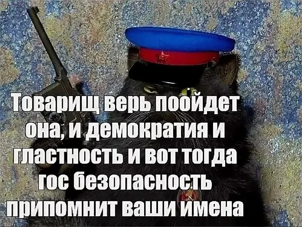 Пятница приколы. Никому ничего не рассказывай цитаты. Тогда вот такой. Кот расставил лапы. Кошки юмор.