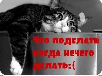 Она ничего не делает