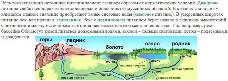 Лист попал в течение реки и сразу. Откуда берется вода в реках. Откуда реки берут воду. Откуда в реку поступает вода. Откуда вода в реках.