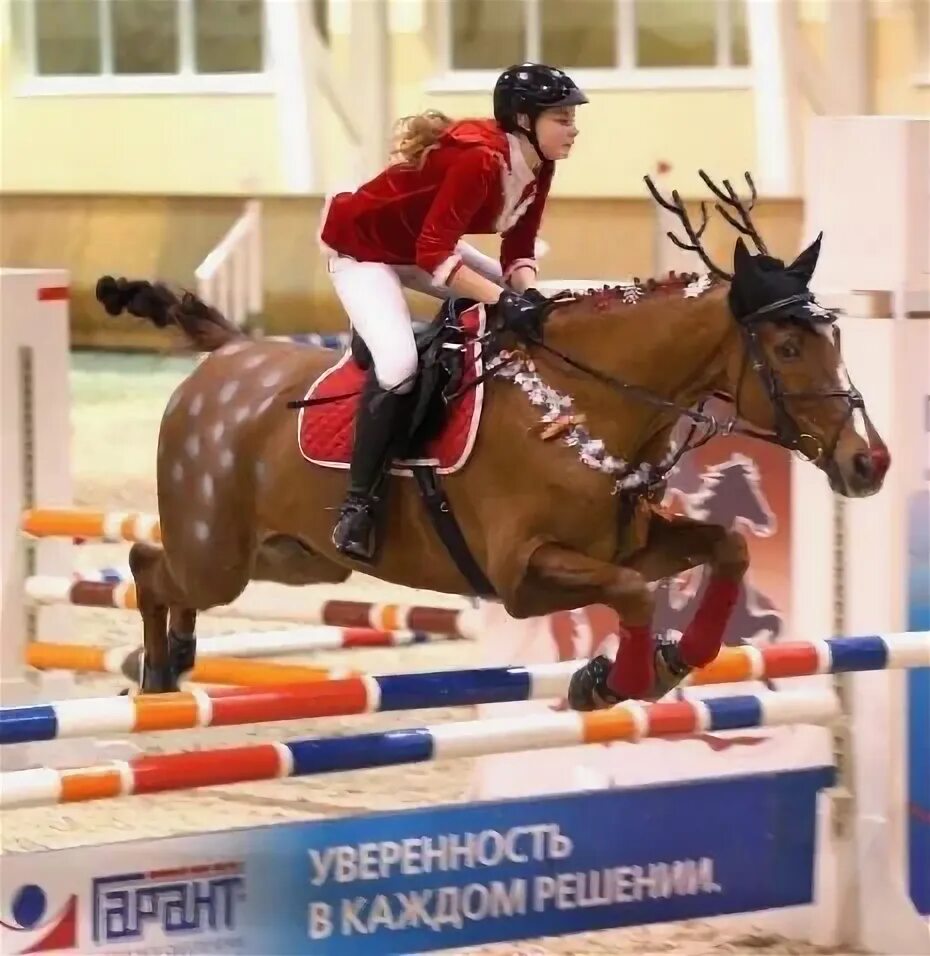 Конкур конный спорт. Конкур 160 см. Конкур подарки. Конкур подарки. Конкур кск виннер.