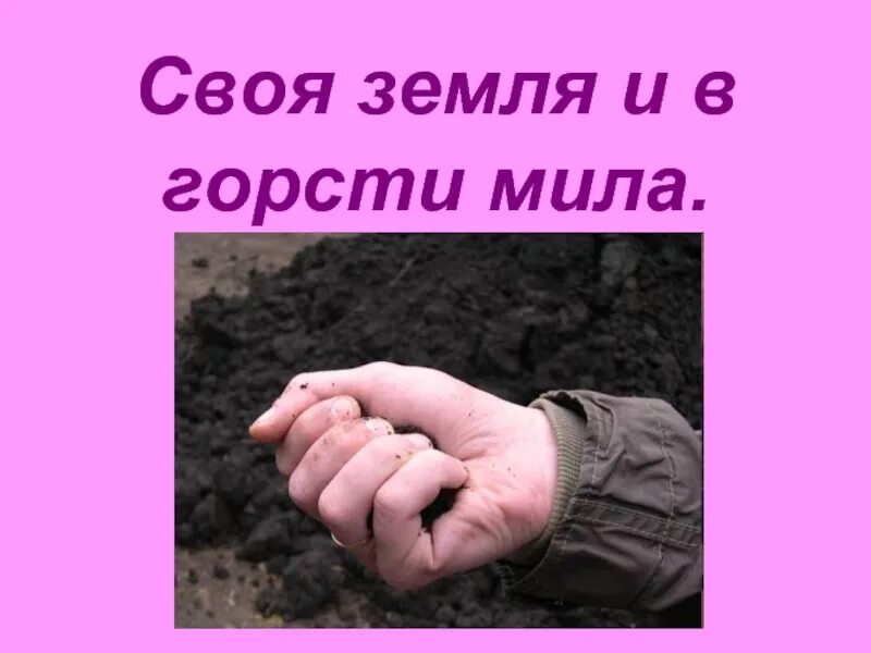 Своя земля. Пословица своя земля и в горсти Мила. Земля и в горсти Мила. Своя земля и в горсти Мила смысл пословицы. Своя земля и в горсти.