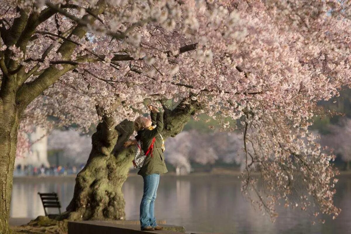 Интересное весной. Весенняя фотосессия. Весенние краски. Интересное весной. Интересное весной.