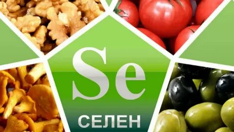 Силен в продуктах
