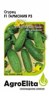 Сорт огурца гармония