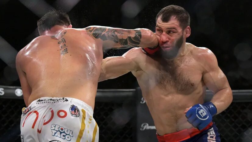 Анатолий токов bellator. Токов шлеменко. Анатолий токов боец. Токов бои видео. Анатолий токов 2022.