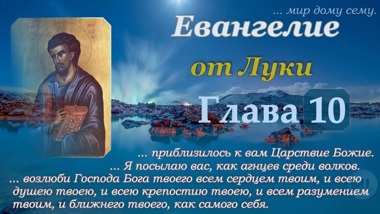 Участник ибо