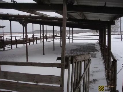 Фермы новосибирск