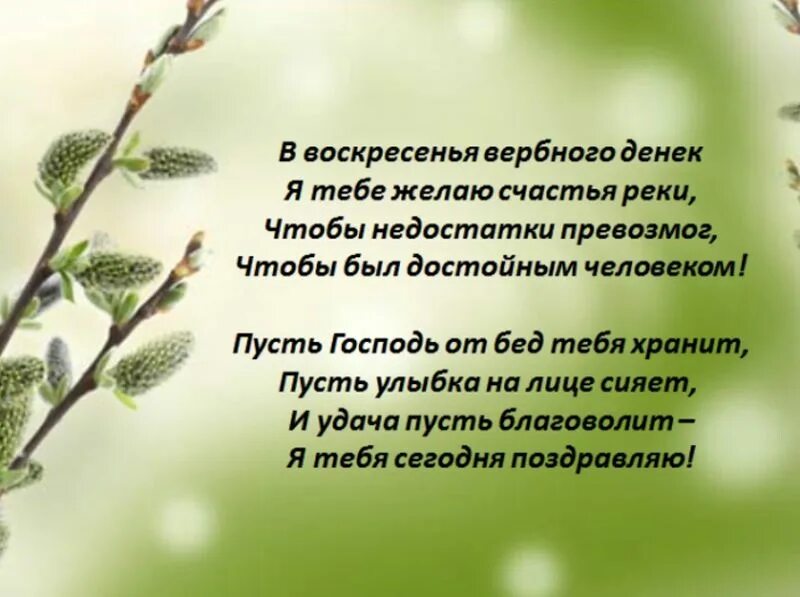 Четверостишье воскресенье. Вербное воскресенье поздравления. Поздравить с Вербным воскресеньем. С Вербным воскресеньем открытки. С Вербным воскресеньем открытки с поздравлением.