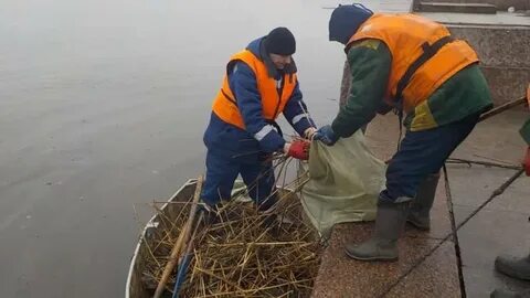 Очистка самого