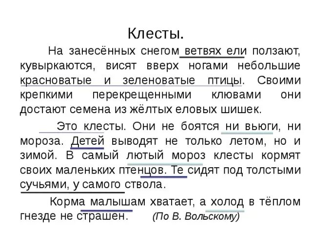 Обучающее изложение клесты 3 класс. Клесты на занесённых снегом ветвях ползают кувыркаются. клесты изложение 3 класс. на занесенных снегом ветвях. клесты на занесенных снегом ветвях.