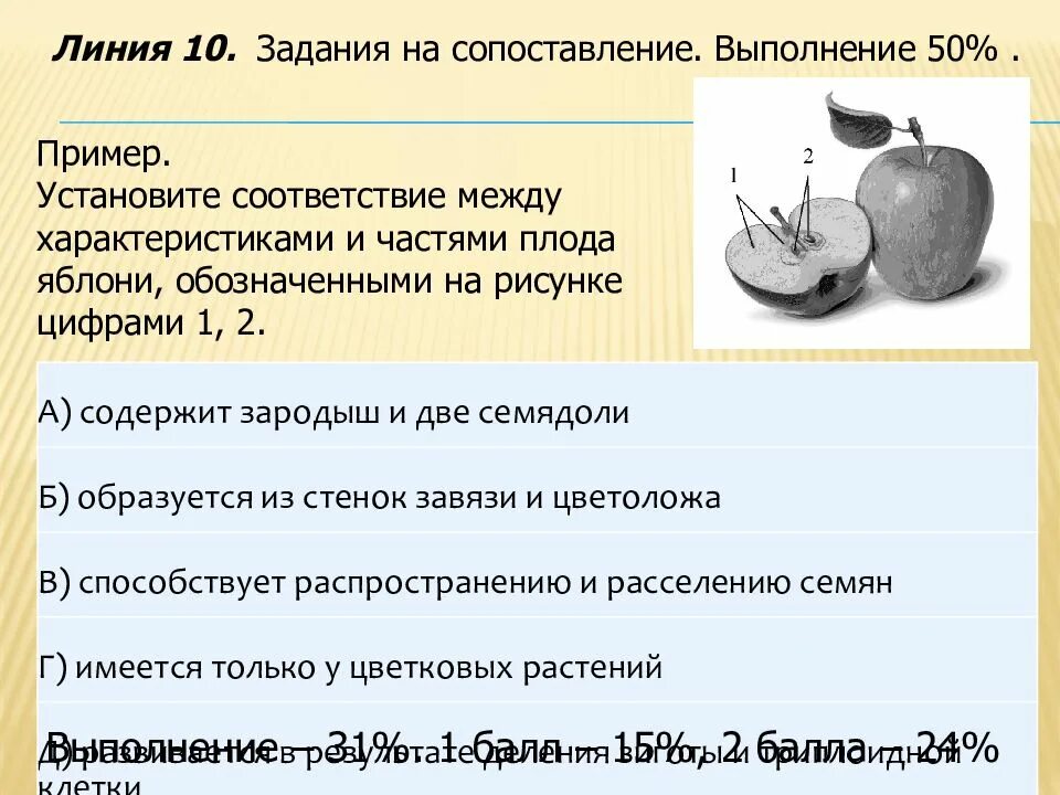 Какую функцию выполняет плод яблони. Плод яблоко ЕГЭ. Плод яблоко ЕГЭ биология. Характеристика плода яблоко. Плод яблока рисунок с обозначениями.