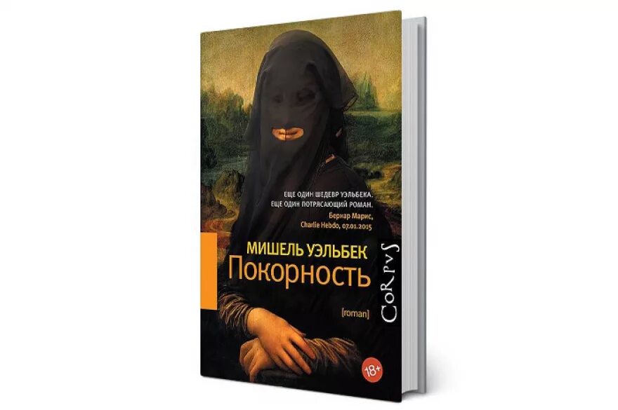 Книга романов том 6