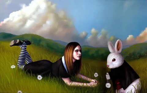 Rabbit hole adidas
