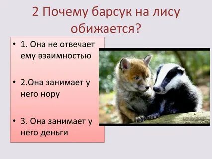 Почему лиса и барсук в норах живут