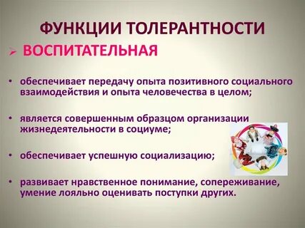 Принципами толерантности являются