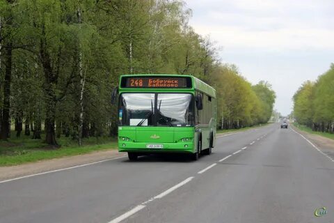 Автобусы бобруйск