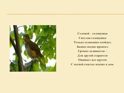 Соловушки мы делаем выбор сами текст