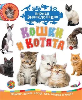 Детская энциклопедия кошки