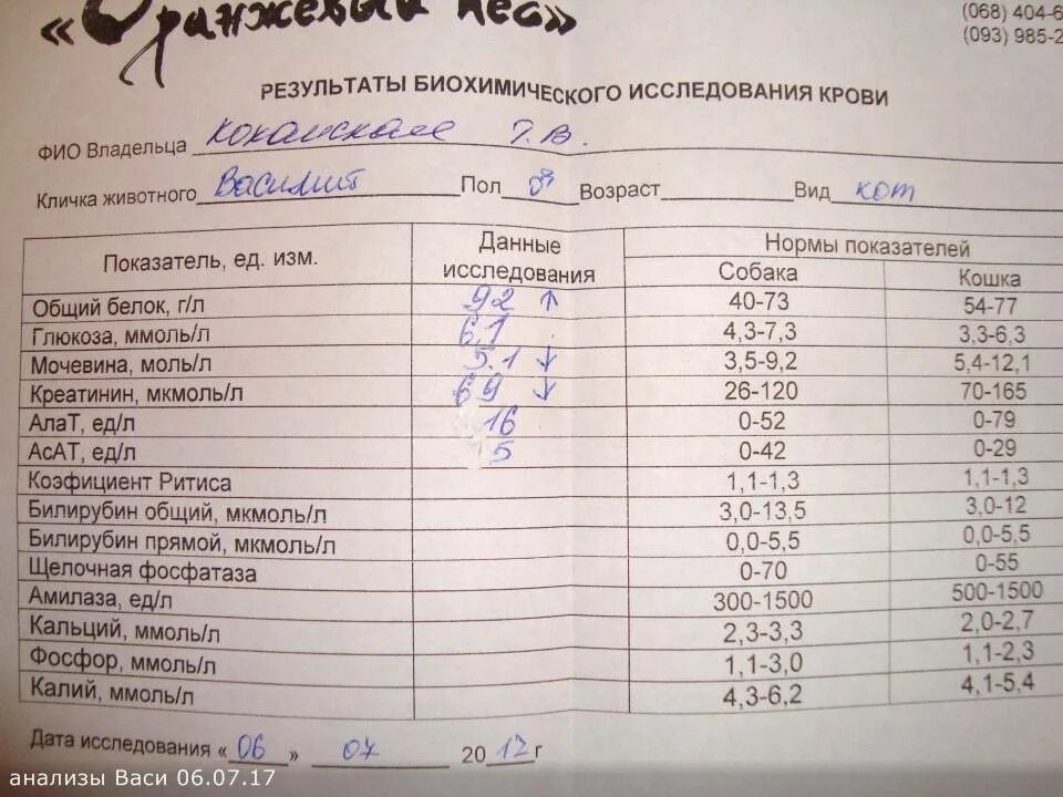 Муковисцидоз показатели анализа крови. Общий анализ крови при синусите. Показатели крови при гайморите. Гайморит анализ крови показатели. Результаты крови когда готов