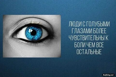 Люблю твои линии и глаза синие