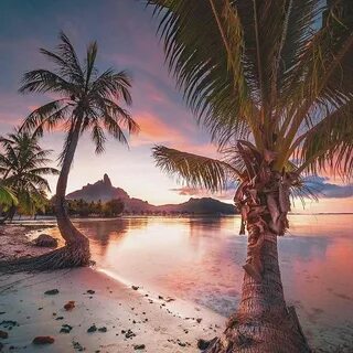 Tropicali