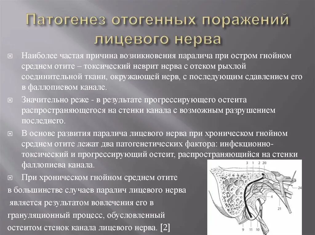 Поражение нервов причины. Синдромы при нейропатии лицевого нерва. Причины возникновения лицевого нерва. Причины поражения лицевого нерва. Центральное повреждение лицевого нерва.