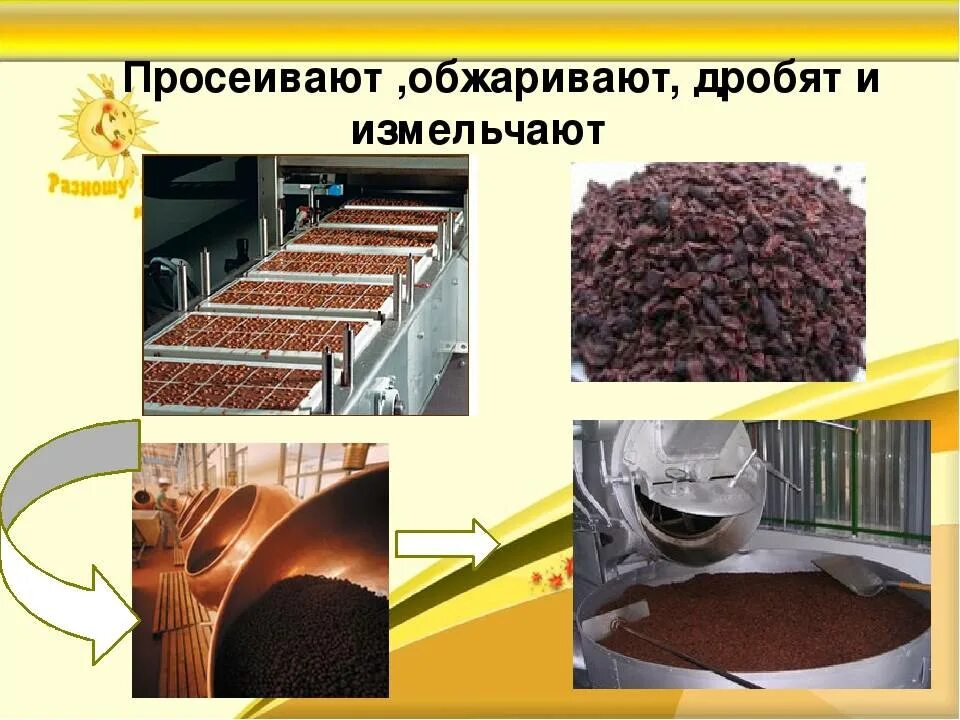 Технология шоколада. Цех производства шоколада. Сырье для производства шоколада. Технология производства шоколада. Производство шоколада этапы.