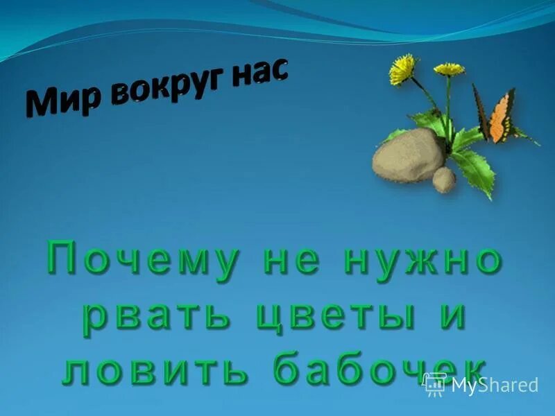 Почему не надо ловить бабочек. Не будем рвать цветы и ловить бабочек. Почему не нужно рвать цветы. Почему не нужно рвать цветы и ловить бабочек. Почему мы не будем рвать цветы и ловить бабочек.