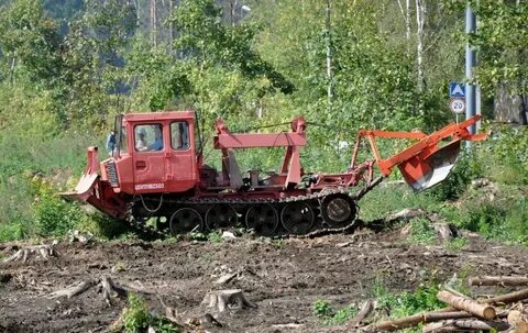 Тлт 100