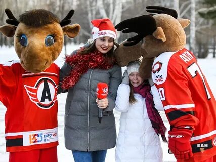 Лось автомобилист