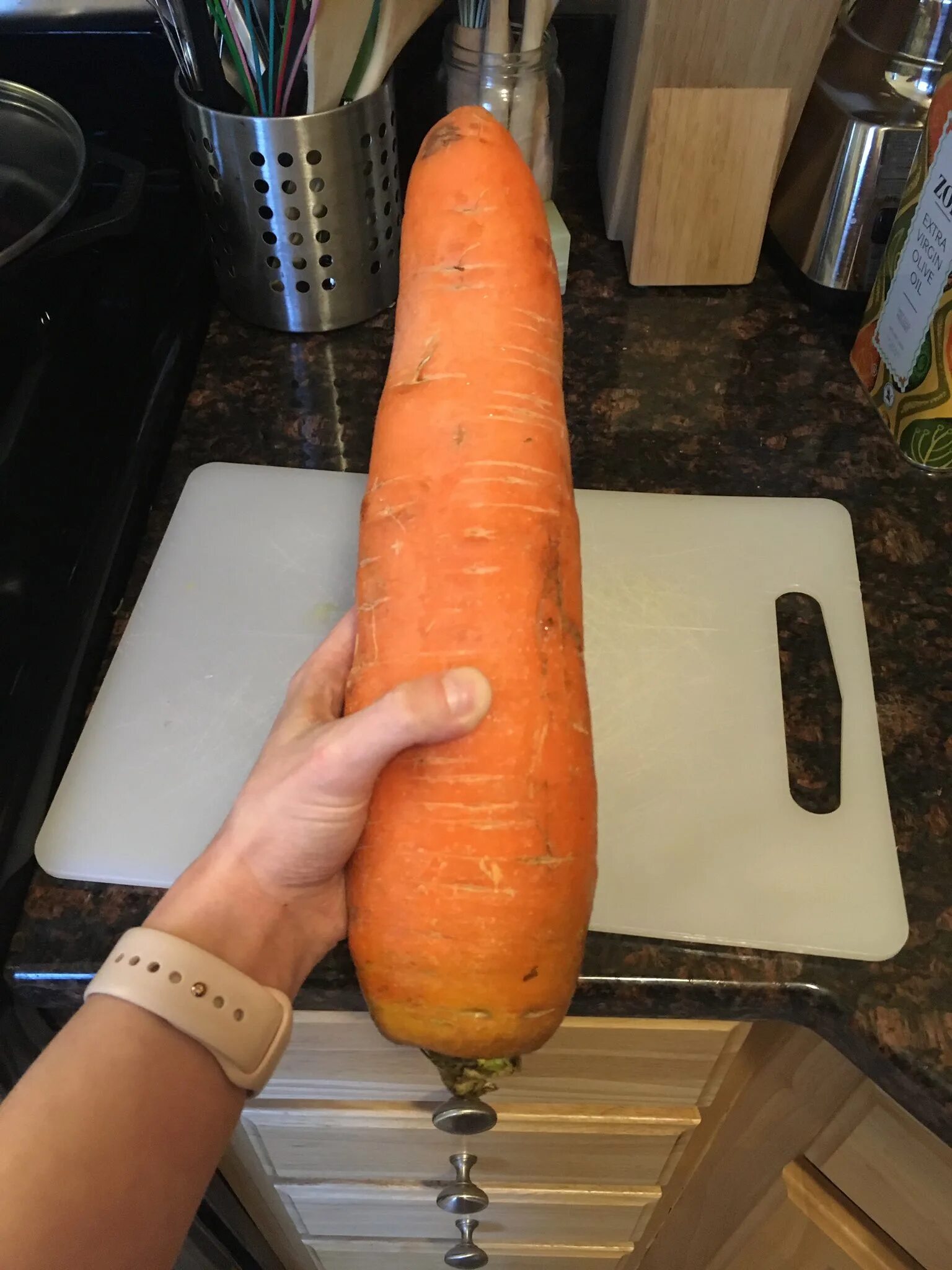Есть морковь на ночь. Огромная морковь. Самая большая морковь. Гигантская морковка. Самая длинная морковь в мире.