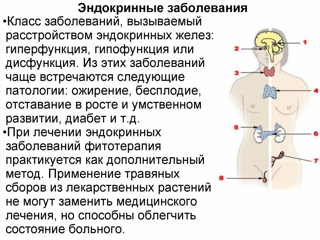 Эндокринные нарушения организма. Патология желез внутренней секреции патология. Железы эндокринной системы у ребёнка. Нарушения желез эндокринной системы. Болезни при нарушении желез внутренней секреции.