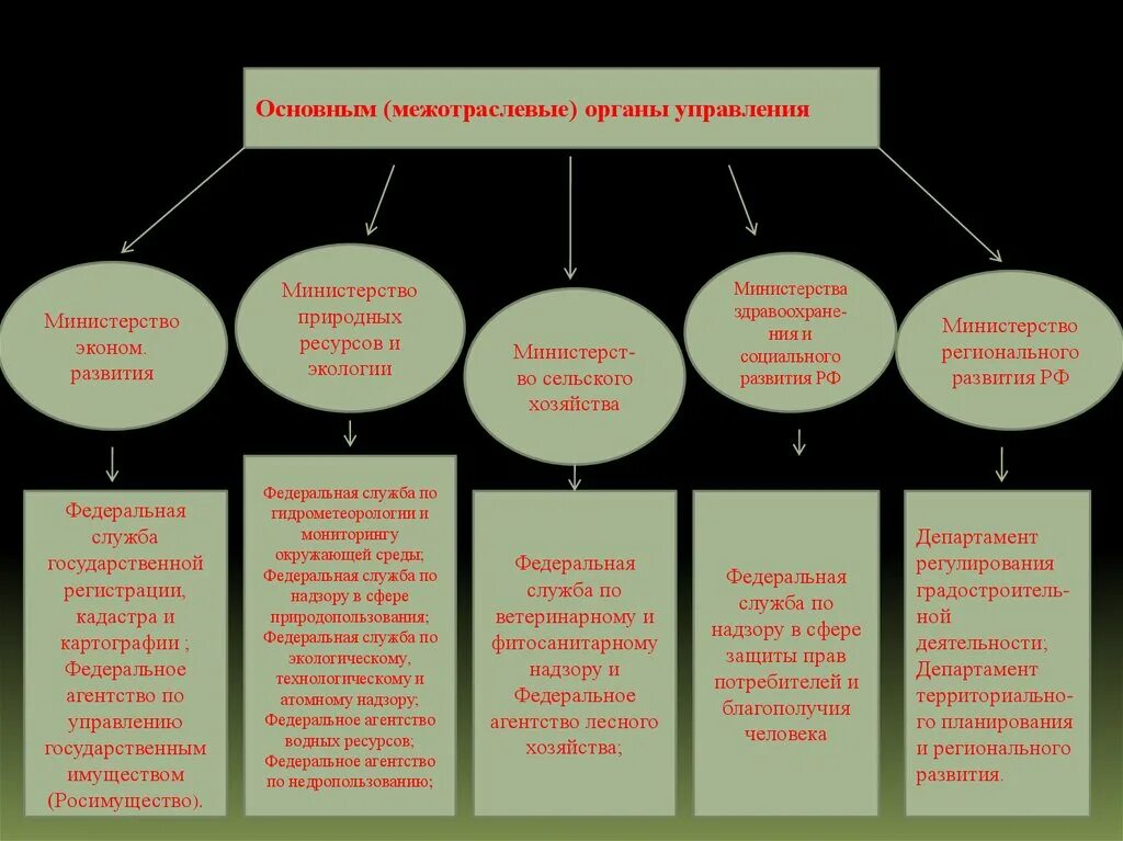 Органы в сфере экономики. Органы межотраслевого управления. Система органов межотраслевого управления. Субъекты межотраслевого управления. Органом межотраслевого управления является.